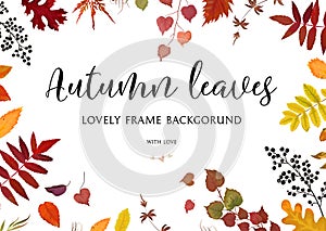 Vector floral watercolor style card design Autumn border, frame: colorful orange yellow brown red fall leaves berries, forest map