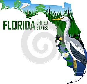 Vector Florida - American state map with great blue heron in wetland