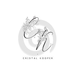 Vector Floristic Feminine Brand Logo Template, Monograms.