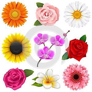Vector Flower Icons