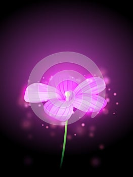 Vector flower illustration