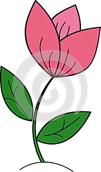 Vector flower illustration.Gardening books.