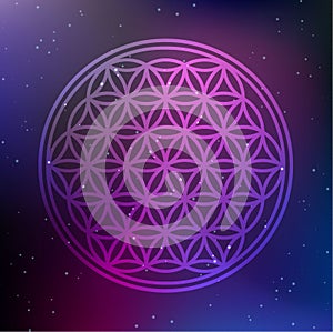 Vector Flower of Life Symbol on a Cosmic Background