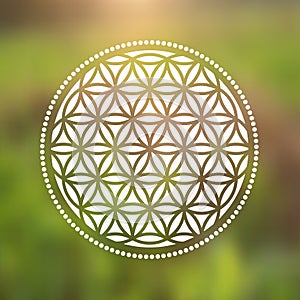 Vector Flower of Life Symbol on a Natural Background