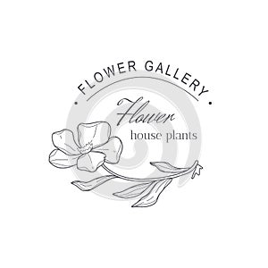 Vector flower logo template illustration.