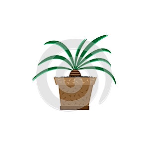 Vector flower in a pot. Flowerpot on a white background.