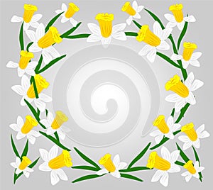 Vector, flowers, daffodils, a variety of early flowers beauty, love, tenderness