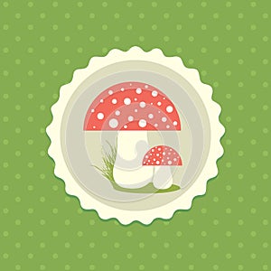 Vector Fly-Agaric Mushrooms Flat Design Illustration