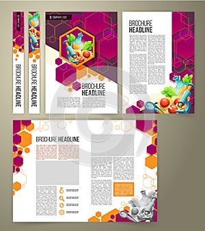 Vector flyer, cover design, business brochure