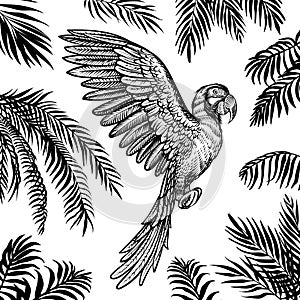 Vector flying parrot with palm leaves. Tropical summer design with black silhouette leaves and macaw.