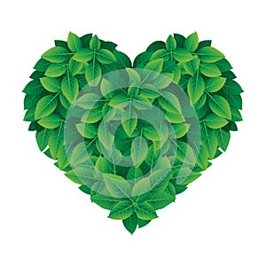 Vector foliage heart made of leaves