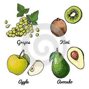 Vector food icons of fruits. Colored sketch of food products. Green grapes, apple, avocado, kiwi
