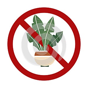 Vector forbidden sign with house plant isolated from background. Growing tropical flowers is prohibited. Do not touch rare flowers