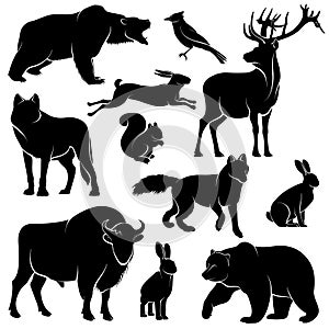 Vector forest animals for wood design. Zoology collection photo