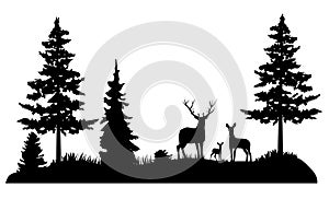 Vector forest deer family, deer in the woods.