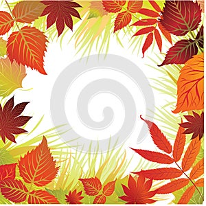 Vector frame with from autumn leafs. Thanksgiving