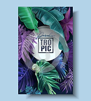 Vector frame banner with color tropical leaves