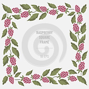 Vector frame with blackberries and foliage.