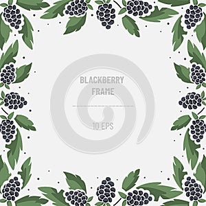 Vector frame with blackberries and foliage; square border composition.