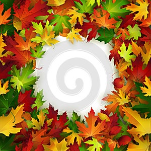 Vector frame design with colorful autumn leaves