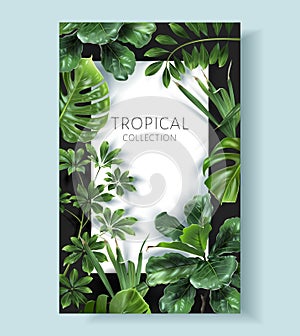 Vector frame with green tropical leaves