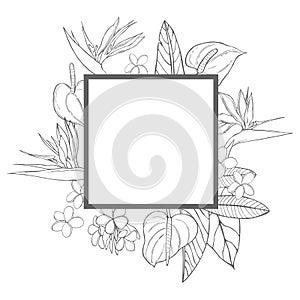 Vector frame with hand drawn tropical flowers. Sketch illustration