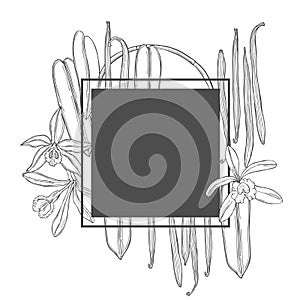 Vector frame with hand drawn vanilla.