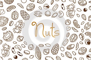 Vector frame, packaging design of nut and seed mix or snack. Walnut, peanut and sunflower seeds. Almond, pistachio