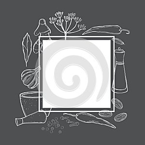 Vector  frame with  spices and herbs