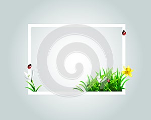 Vector frame with spring motive