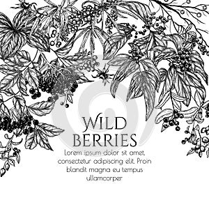 Vector frame of wild berries