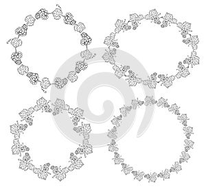 vector frames and with grape - ornaments