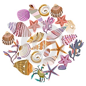 Vector frams from seashells and stars.