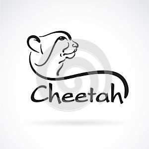 Vector of freehand cheetah head painting on white background. Wild Animals. Easy editable layered vector illustration