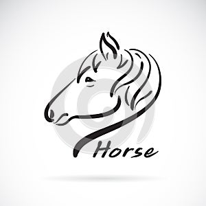 Vector of freehand horse head painting on white background. Wild Animals. Easy editable layered vector illustration