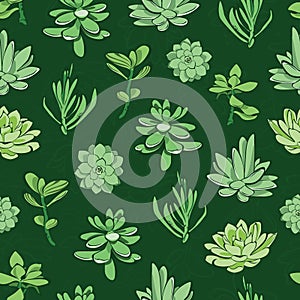 Vector fresh green succulents seamless pattern