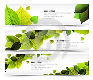 Vector Fresh spring horizontal banners