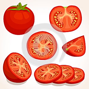 Vector fresh tomato. Sliced, whole, half red tomatoes.