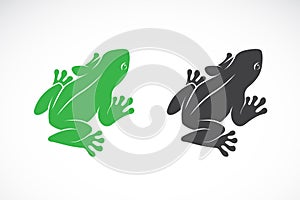 Vector of frogs design on white background. Amphibian. Animal.