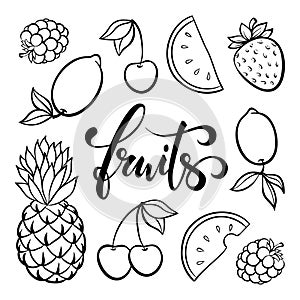 Vector fruit symbols, doodle outline drawing of tropical fruits berries, simple single line drawing, food and fruit icons