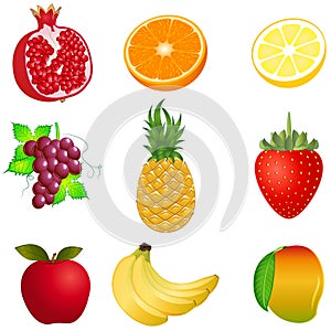 Vector Fruits Set