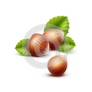 Vector Full Unpeeled Hazelnuts with Leaves photo