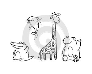 Vector funny animals for zoo. black and white crocodile, Dolphin, giraffe and bear