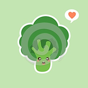 vector funny cartoon cute green smiling broccoli character isolated on color background. vegetable broccoli. Fresh green Vegetable