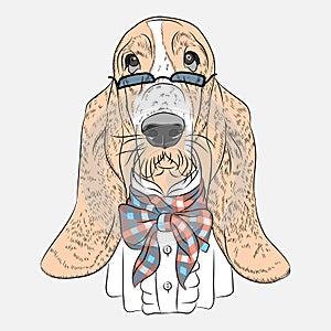 Vector funny cartoon hipster dog Basset Hound