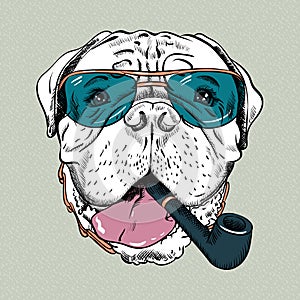 Vector funny cartoon hipster dog Bullmastiff