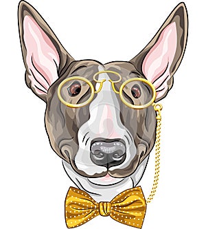 Vector funny cartoon hipster dog Bullterrier