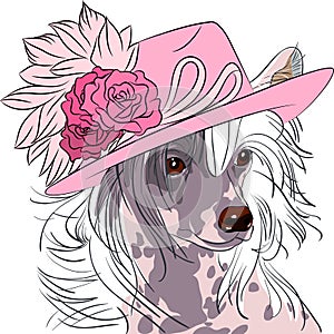 Vector funny cartoon hipster dog Chinese Crested breed