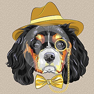 Vector funny cartoon hipster dog King Charles Span