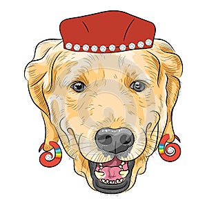 Vector funny cartoon hipster dog Labrador Retriever